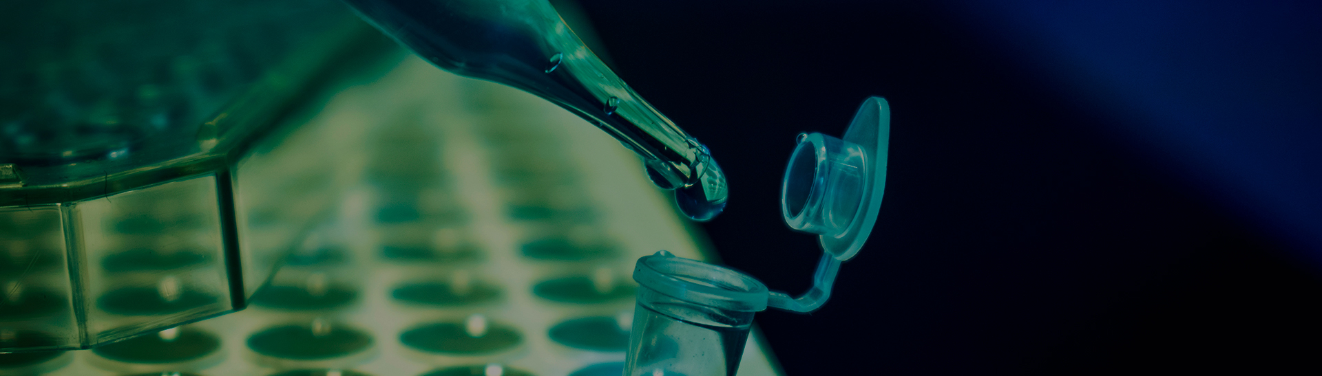 Upstream Process Development
